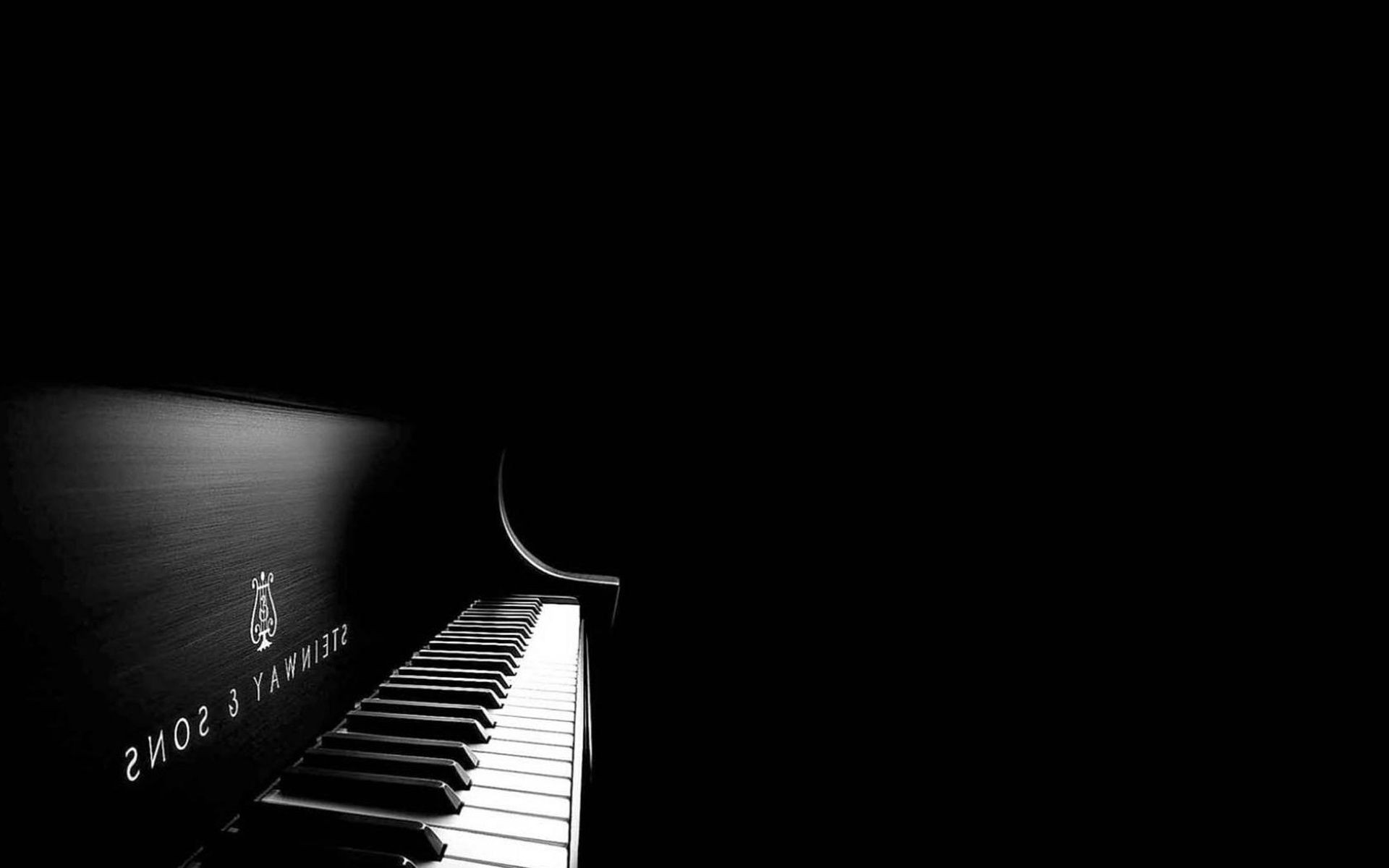 instruments de musique piano sombre jazz ébène instrument musique chat monochrome art concert son classique studio artistique pianiste synthé harmonie résumé acoustique