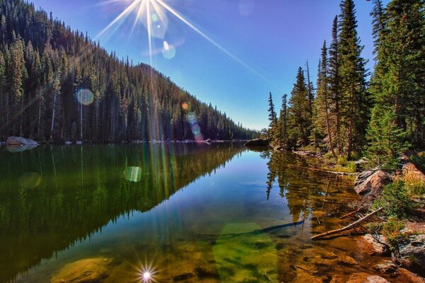 Lac cristallin entouré de forêt