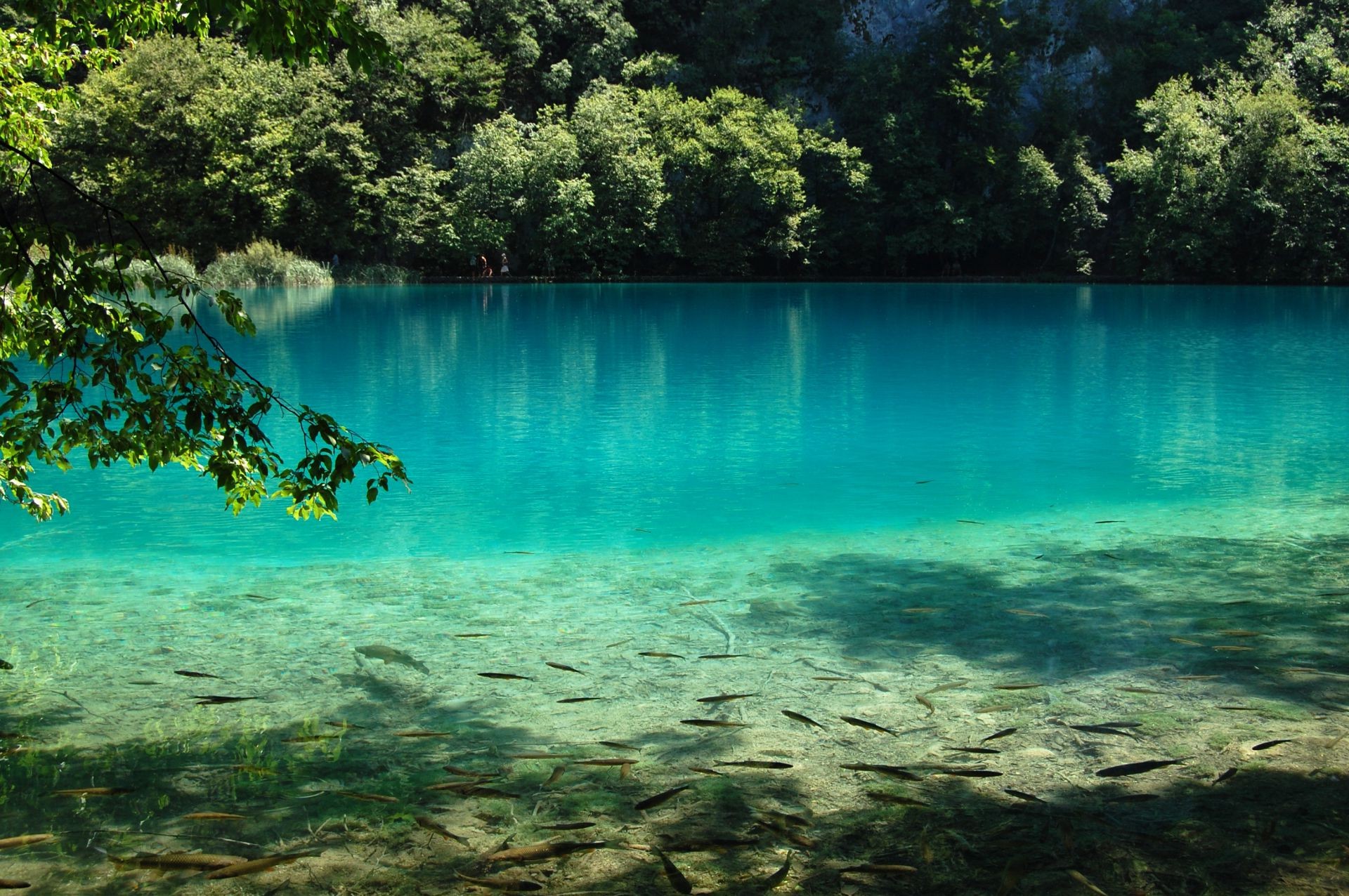 jeziora woda podróże tropikalny lato natura wyspa plaża krajobraz na zewnątrz laguna idylla wakacje ocean dobra pogoda turkus