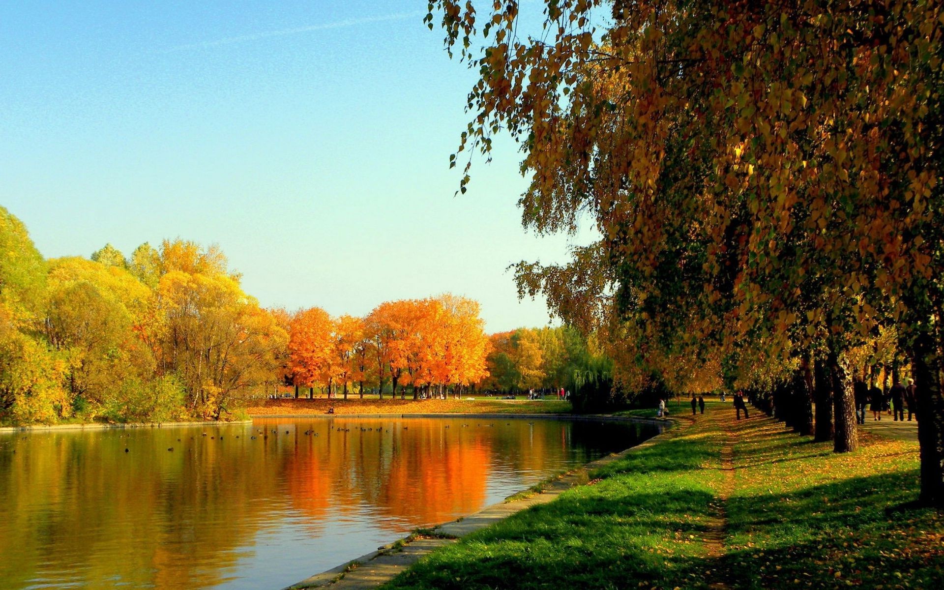 Парк пруд осень аллея
