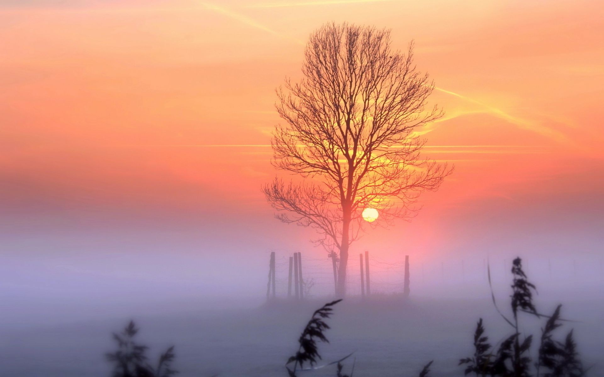 the sunset and sunrise sunset dawn sun nature evening sky dusk landscape fair weather fog mist silhouette outdoors winter tree backlit snow bright weather