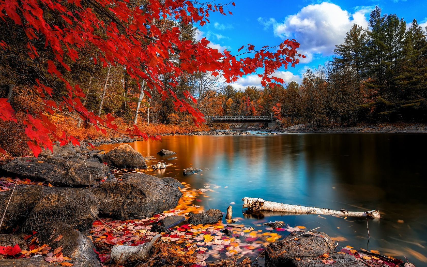 rivers ponds and streams fall water river landscape tree outdoors nature travel leaf wood