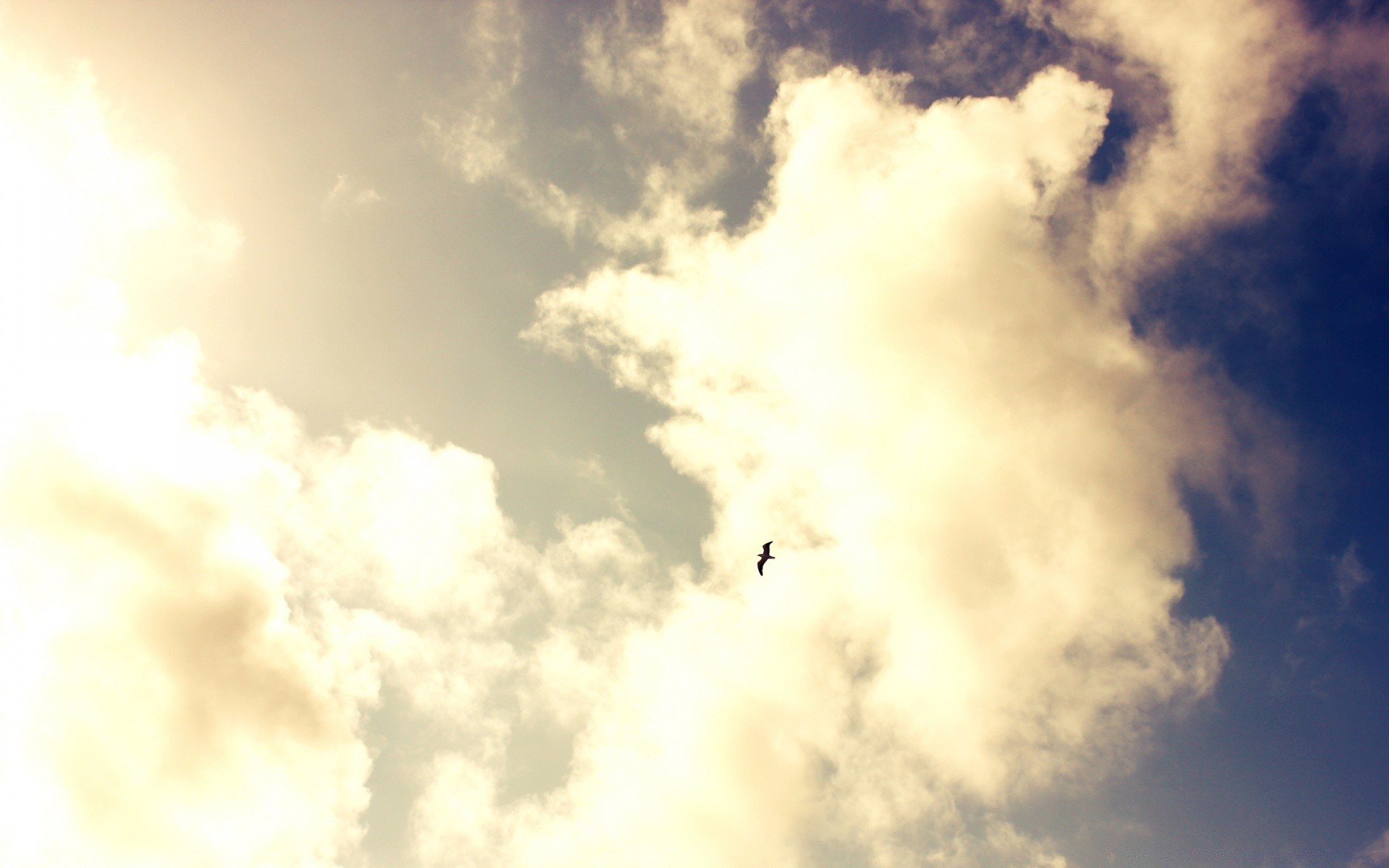 vögel himmel sonne natur gutes wetter wetter licht im freien landschaft hoch himmel hell raum wind meteorologie sommer abstrakt tageslicht