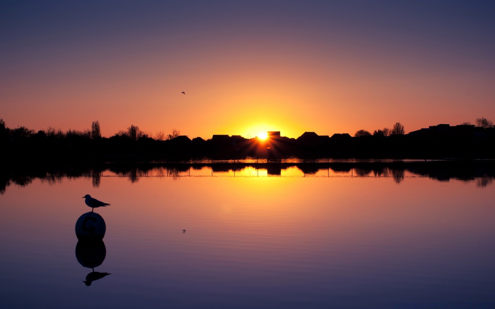 birds sunset dawn reflection lake evening water dusk sun silhouette sky river nature landscape