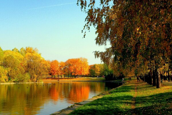 A pond in a colorful autumn park