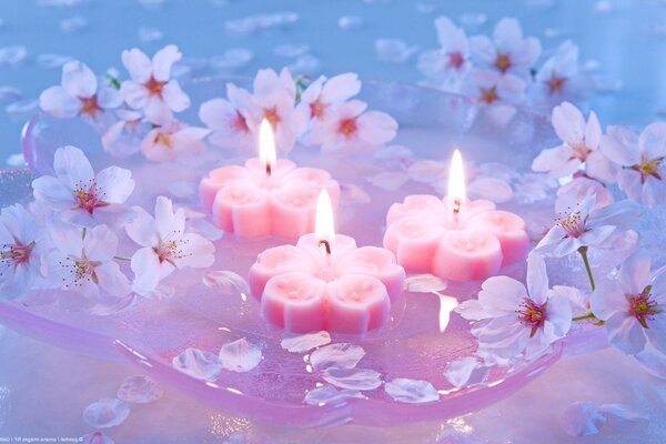 Candles in the form of petals in a transparent vase