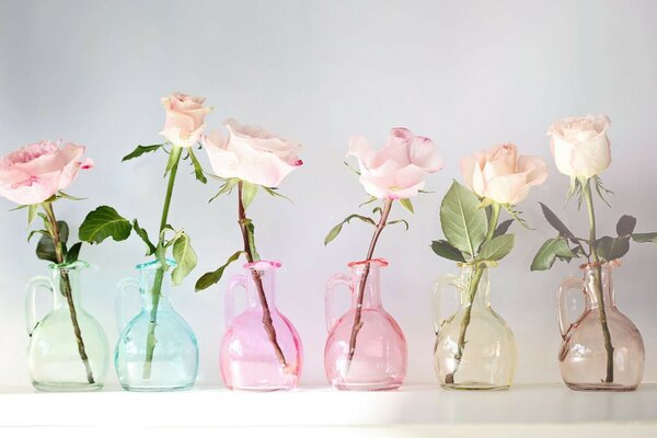 Belles roses dans des vases pas ordinaires