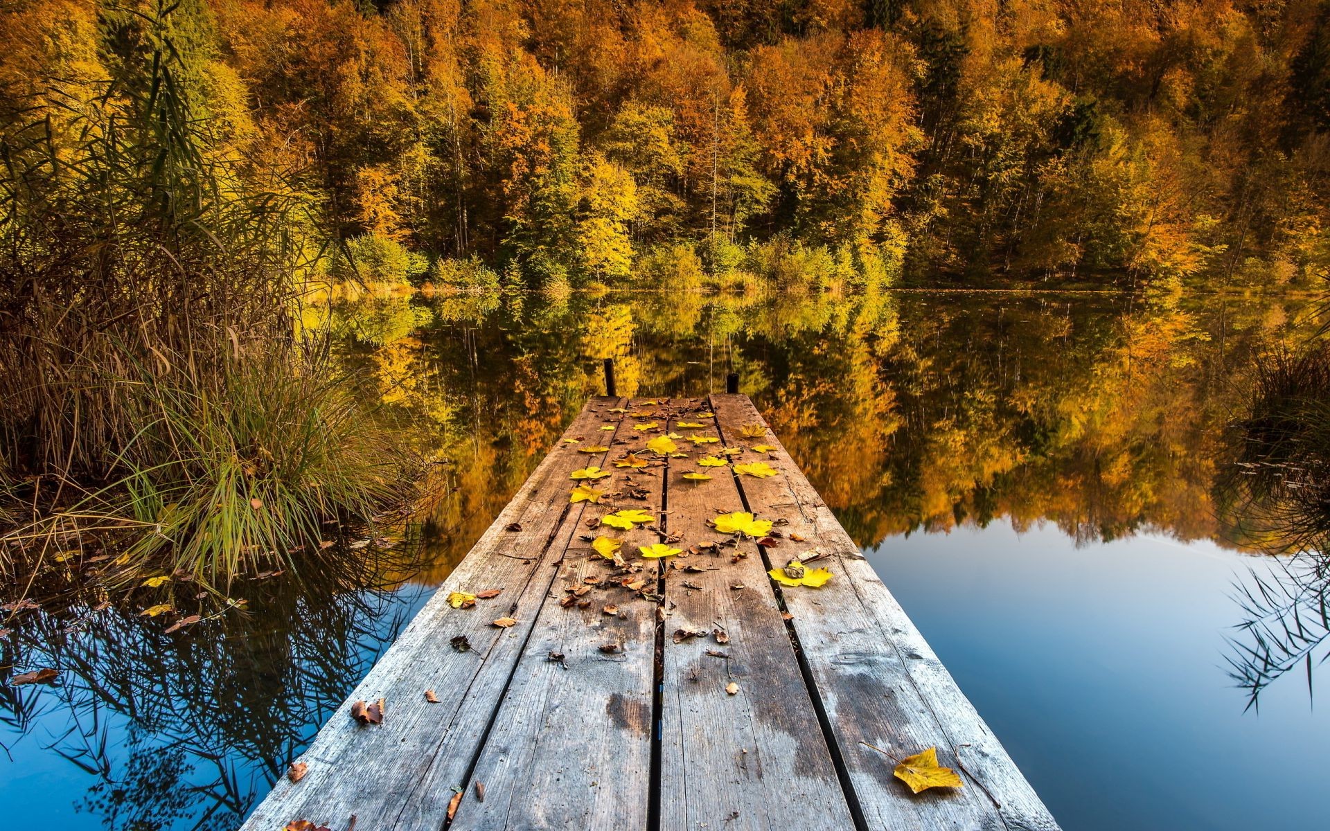 lake wood fall tree landscape nature water scenic river outdoors leaf daylight season reflection travel park environment scenery fair weather