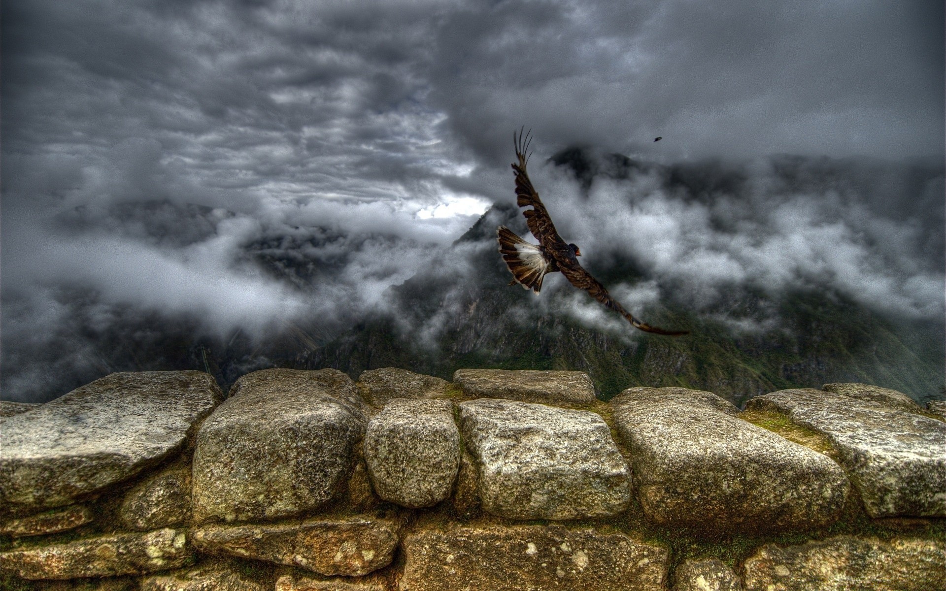 birds nature landscape rock stone outdoors water