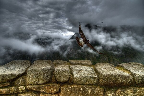 El pájaro vuela hacia la montaña