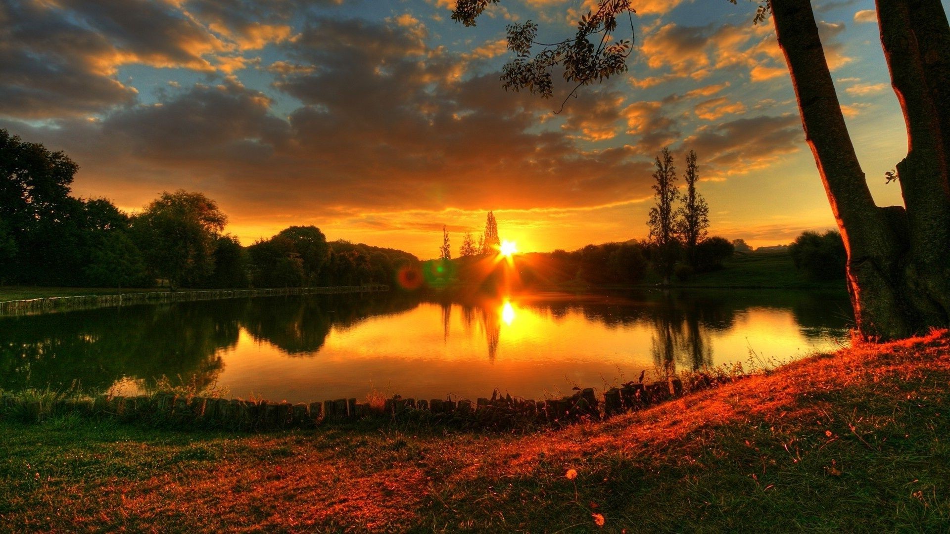 coucher de soleil et aube coucher de soleil aube paysage arbre eau nature soleil soir lac ciel réflexion rivière lumière