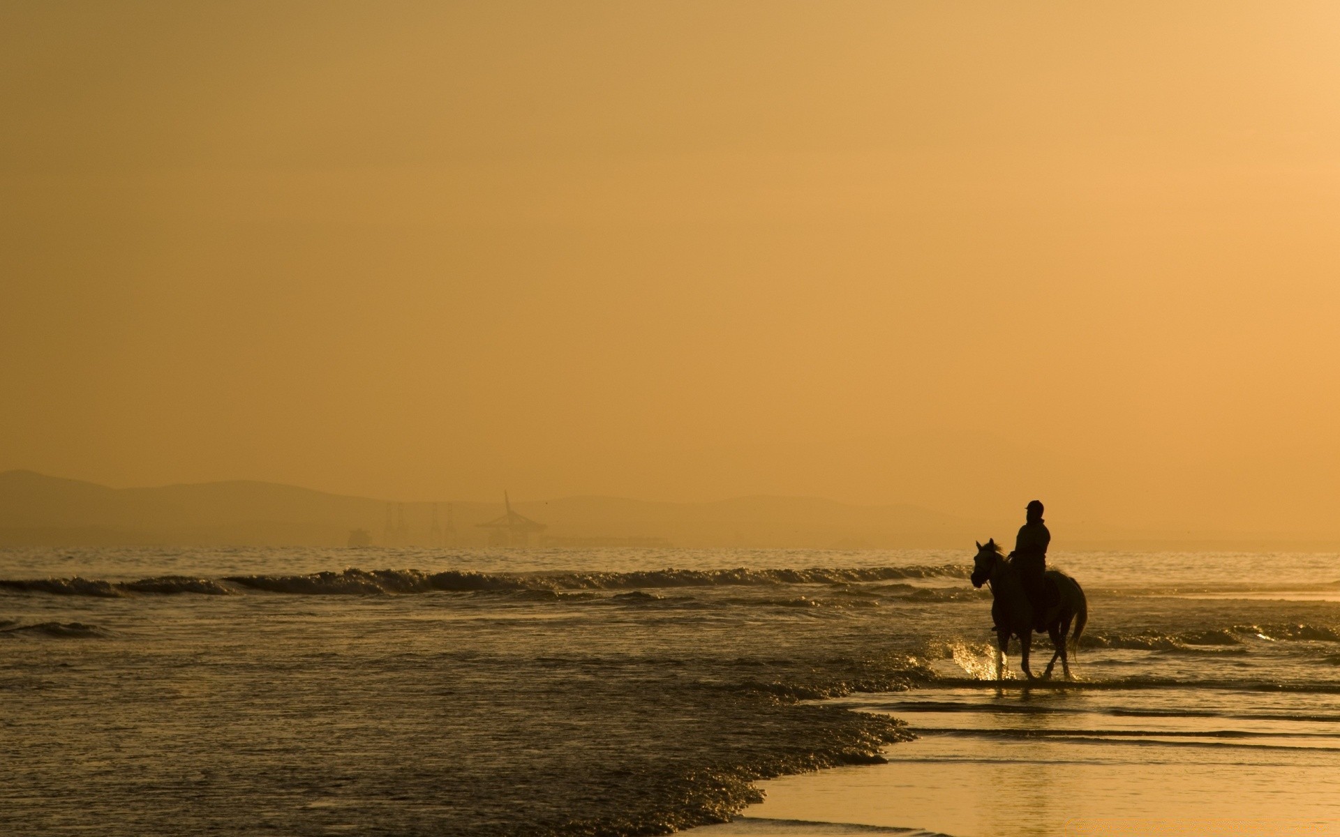 cheval coucher de soleil eau aube plage mer rétro-éclairé brouillard soir océan paysage silhouette crépuscule soleil pêcheur brouillard mer lac paysage ciel