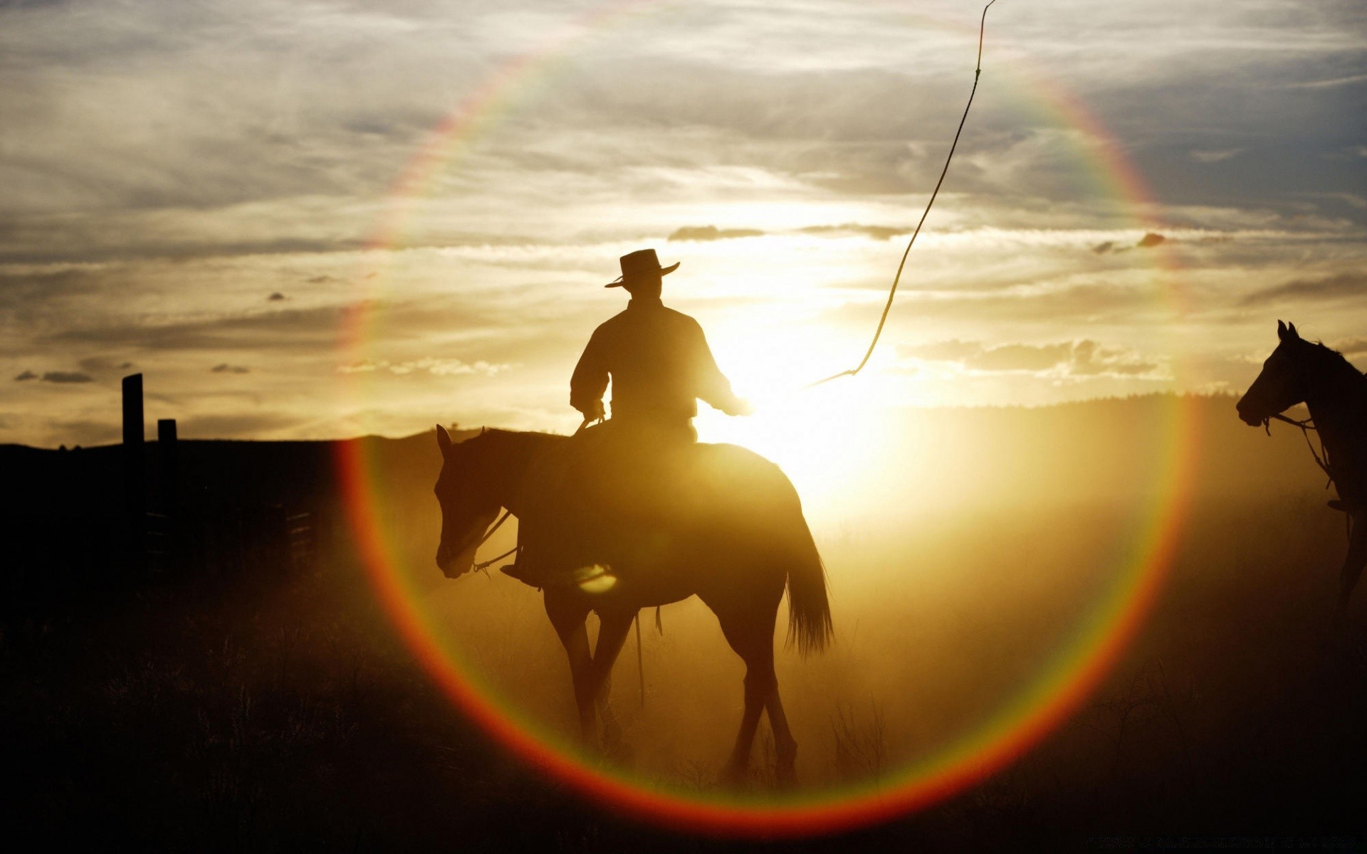 horses sunset sun silhouette beach sea ocean dawn backlit sky light landscape reflection water dusk evening nature moon man