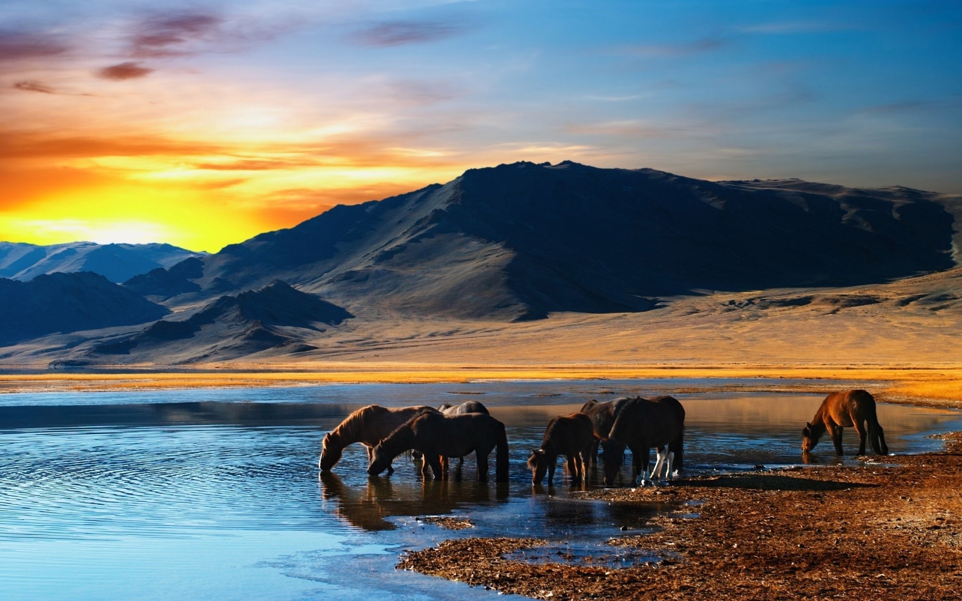 cavalli acqua tramonto viaggi alba all aperto cielo sera montagna natura paesaggio riflessione lago neve crepuscolo