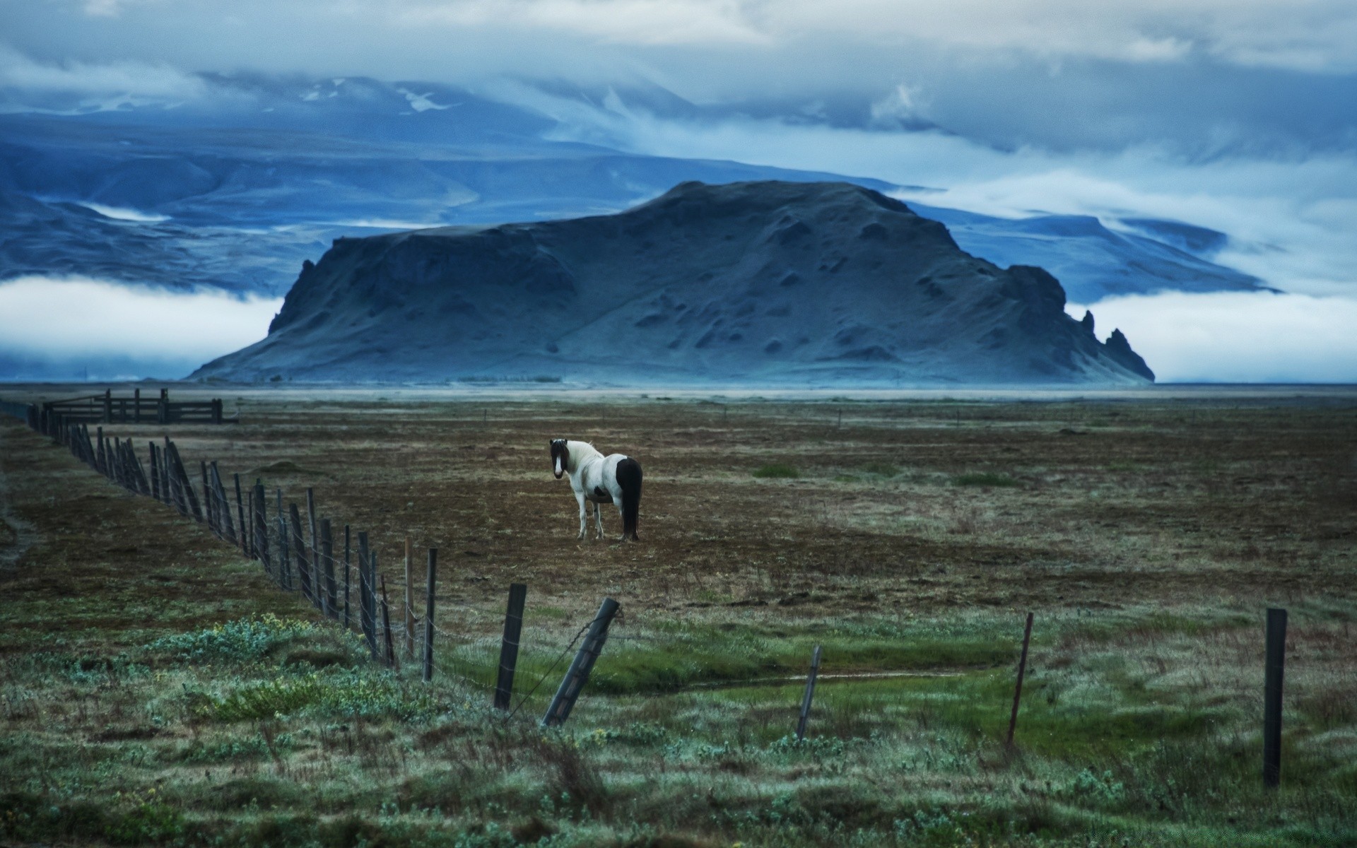 chevaux eau paysage ciel en plein air voyage mer mer nature scénique océan montagnes lumière du jour