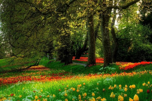 Parque de flores