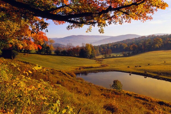 El otoño dorado besó la naturaleza