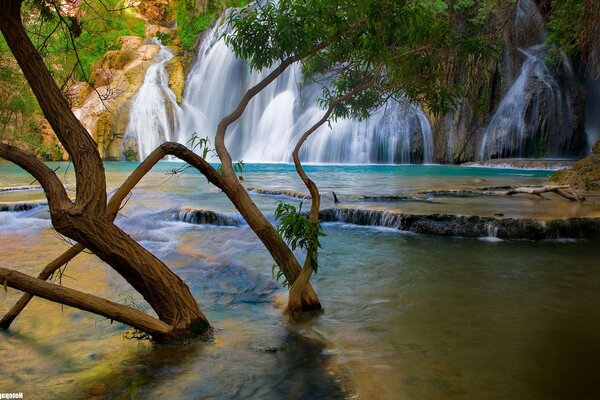 La beauté des cascades et de la faune