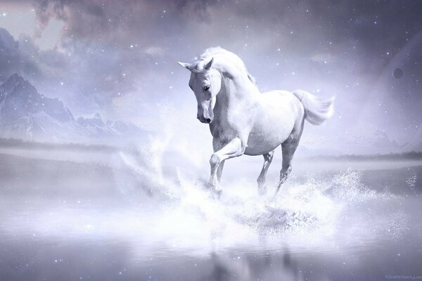 Cavalo branco gracioso corre na neve