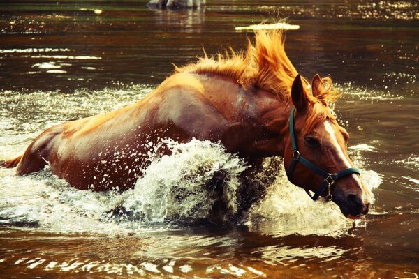 Action et manque follement Loch