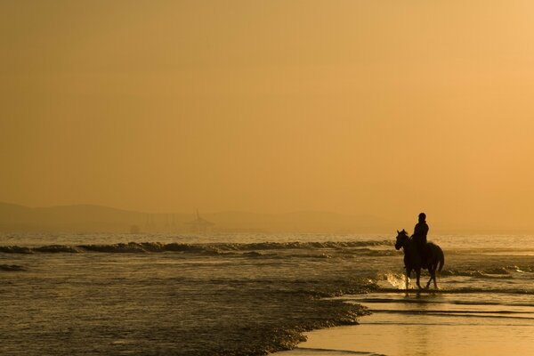 Silhouette eines Reiters am Strand bei Sonnenaufgang