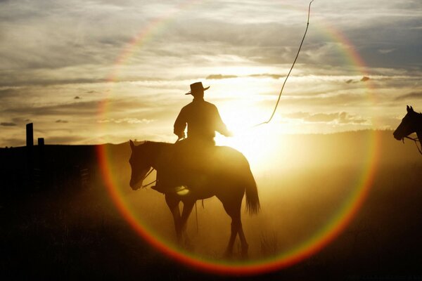 A rider on a horse in the sunset