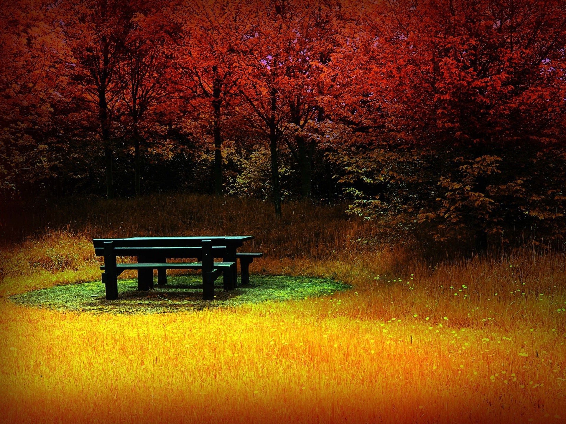 otoño amanecer puesta de sol banco noche árbol al aire libre paisaje madera otoño naturaleza sol crepúsculo luz