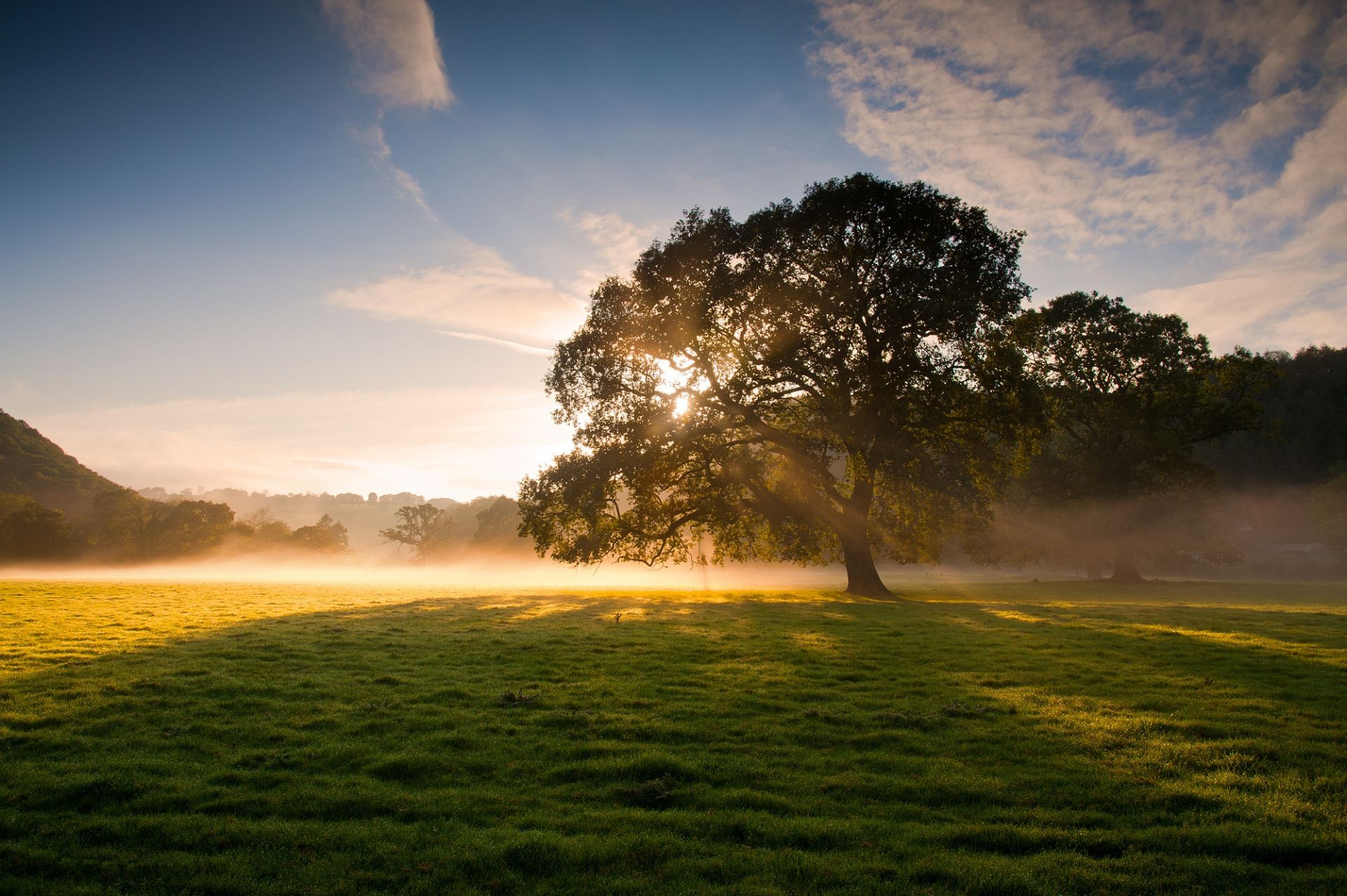 the sunlight and rays landscape dawn sunset nature tree grass sun sky outdoors fog light fair weather rainbow summer evening