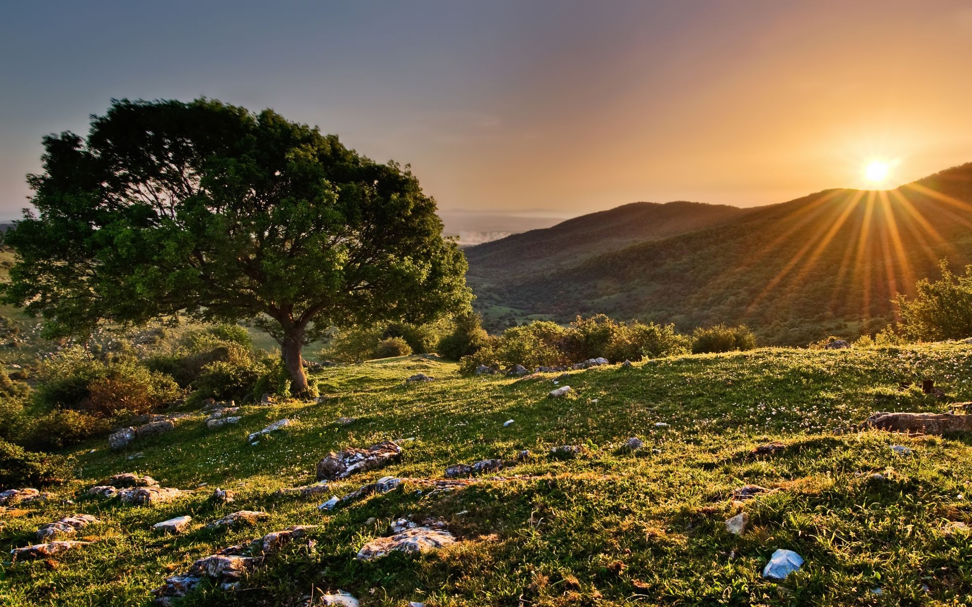 coucher de soleil et aube paysage nature coucher de soleil ciel voyage en plein air soleil montagnes arbre aube herbe soirée beau temps été