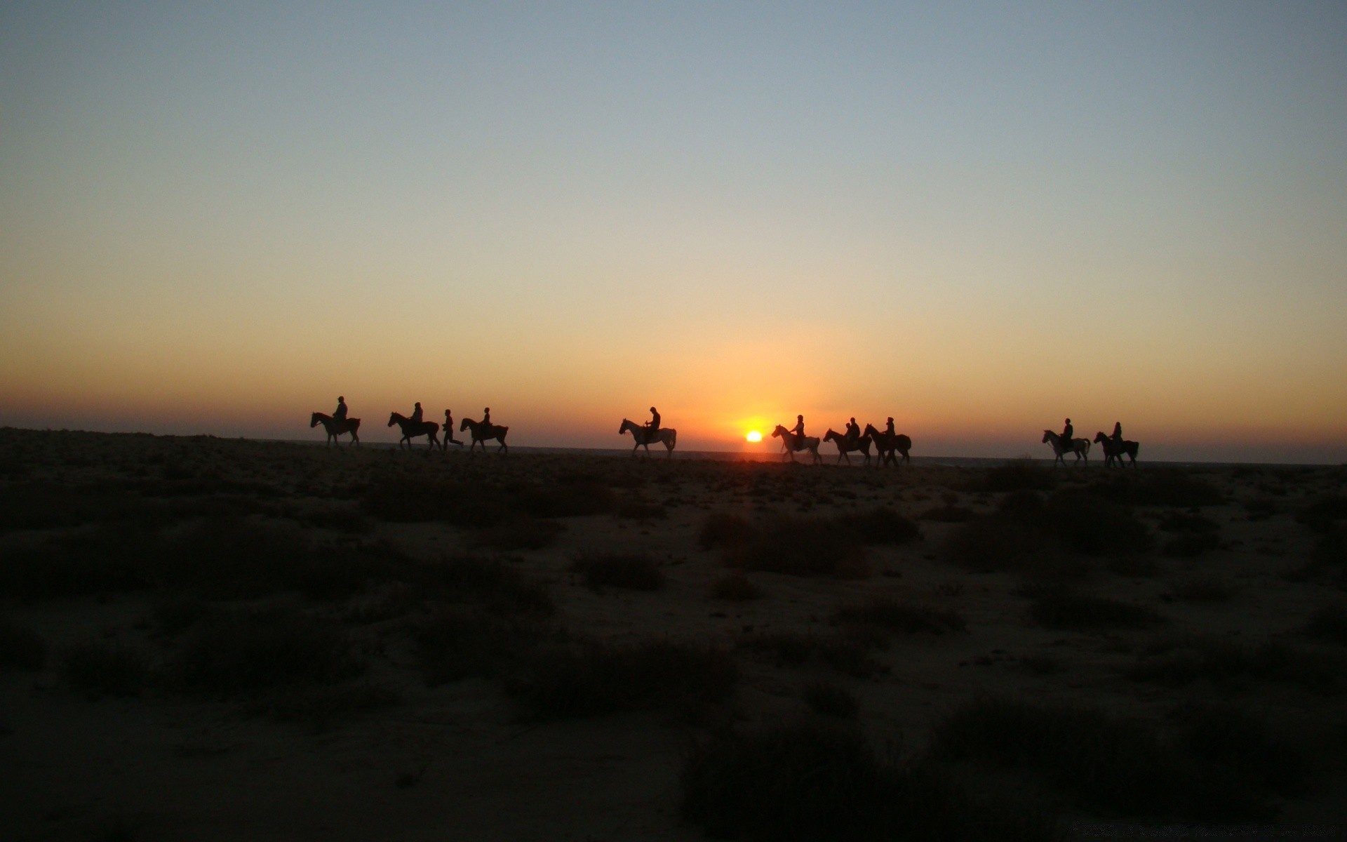 horses sunset dawn beach sea evening landscape sun silhouette backlit water ocean dusk sky light seashore vehicle travel