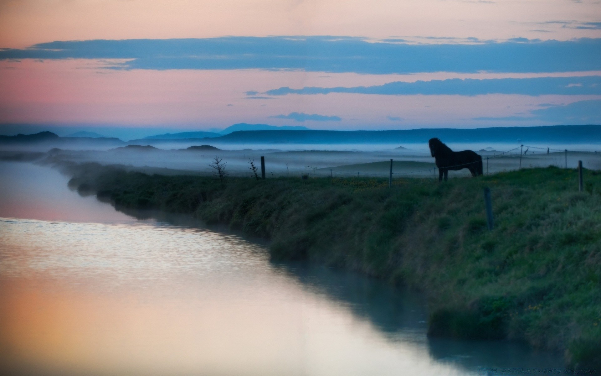 horses water landscape beach seashore sea lake ocean outdoors sky travel daylight dawn sunset reflection evening