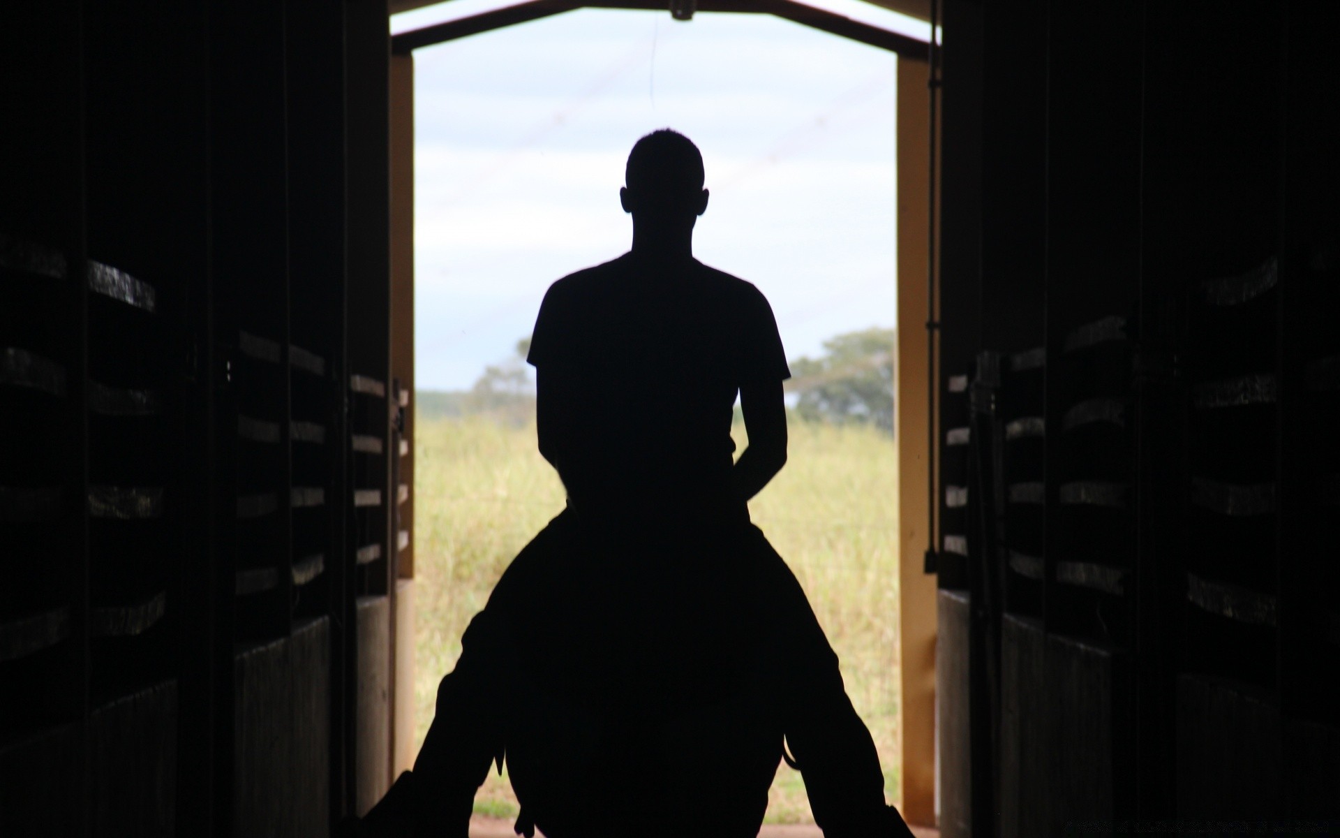 cheval silhouette rétro-éclairé unique ombre fenêtre portrait homme coucher de soleil adulte lumière à l intérieur femme porte à l extérieur aube voyage