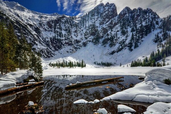 Rio de montanha no fundo da floresta de neve