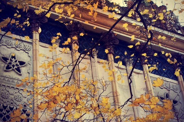 Schöne Fenster des alten Gebäudes, goldenes Herbstlaub