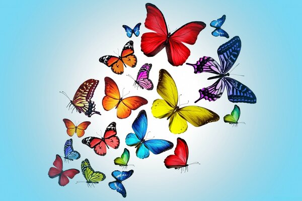 Rainbow butterflies in the daytime sky