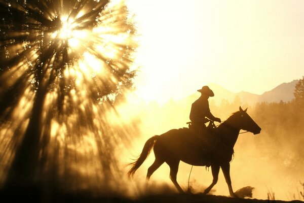 Ein Überfallfahrer reitet in der Sonne auf einem Pferd