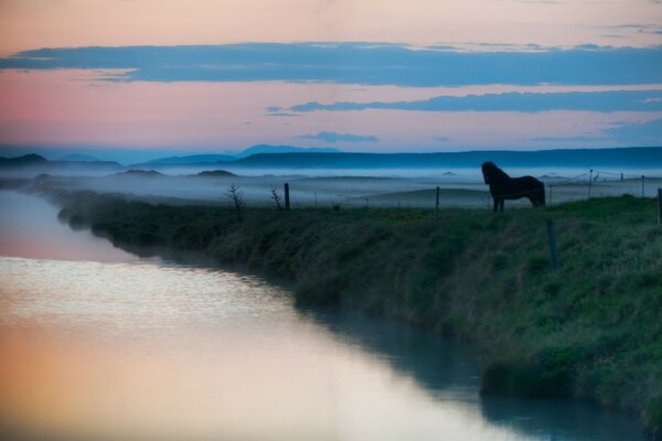 Un caballo solitario se encuentra con el amanecer