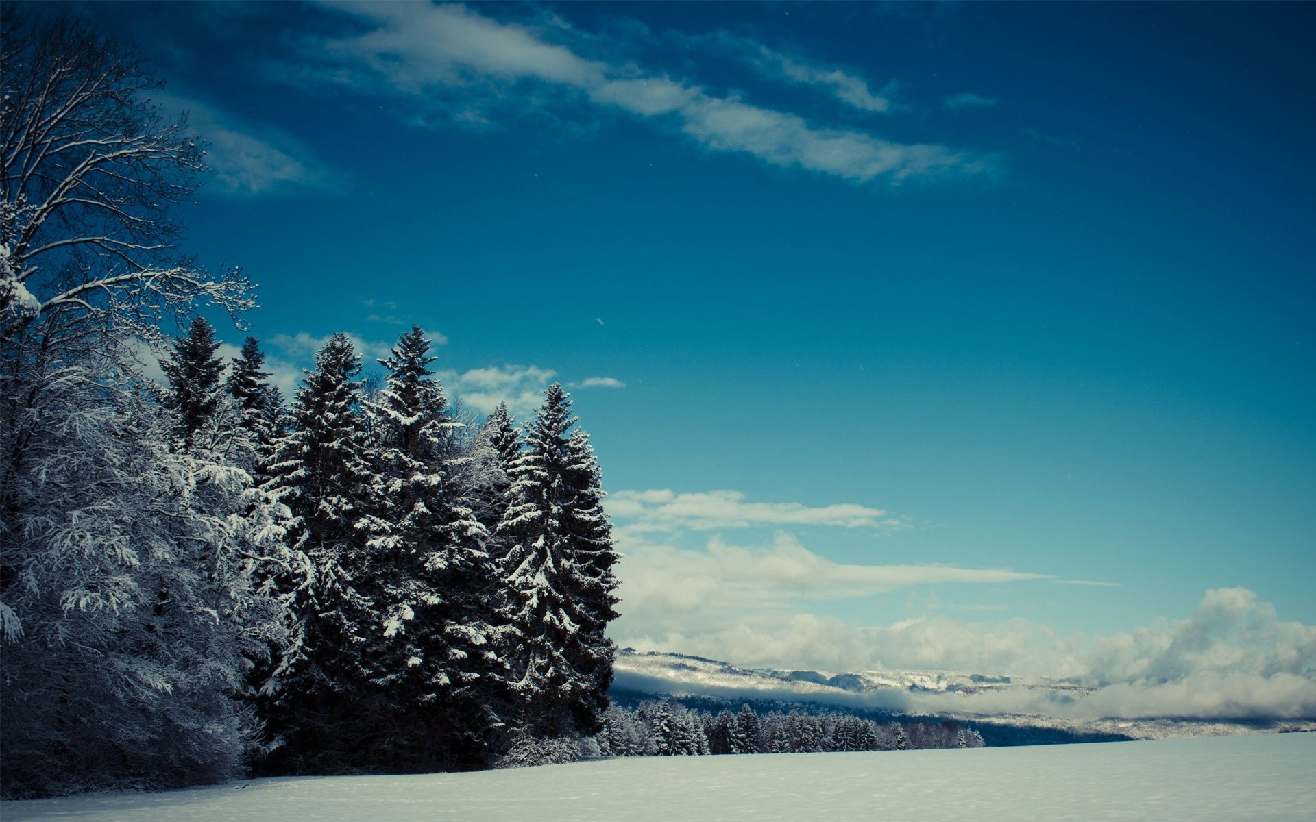 winter schnee landschaft kalt baum frost eis himmel natur berge wetter landschaftlich im freien gefroren holz wasser frostig nebel reisen