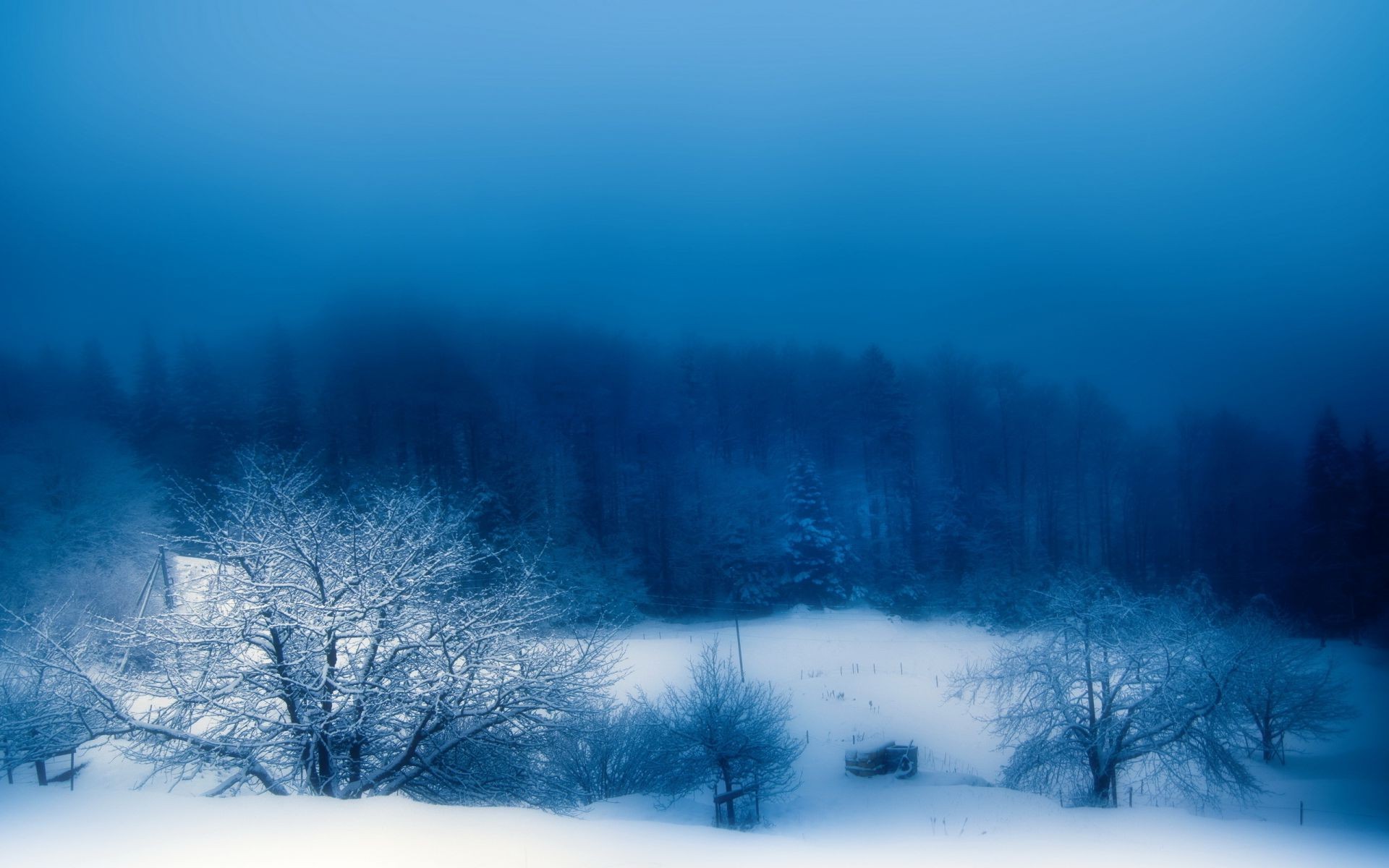 winter snow cold landscape weather fog frozen nature frost ice tree light mist frosty sky season wood desktop scenic