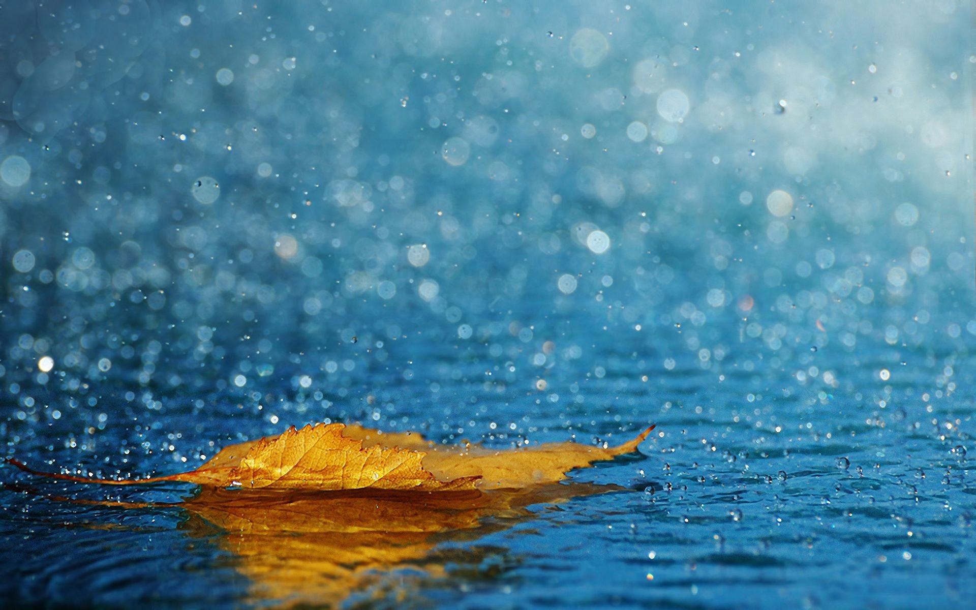 gotas y agua mojado agua splash reflexión pureza onda turquesa burbuja lluvia naturaleza gota mar submarino ondulación líquido claro limpio