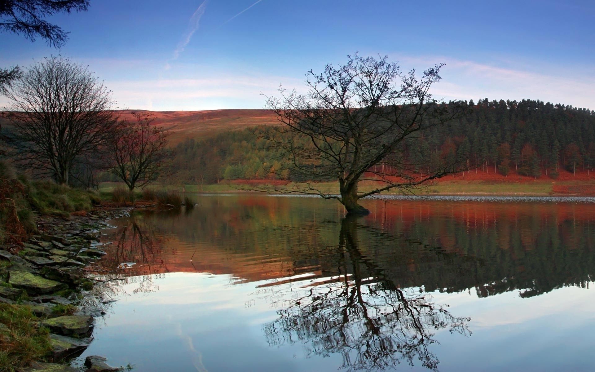 lago acqua riflessione paesaggio albero fiume all aperto natura alba autunno legno piscina scenico cielo sera