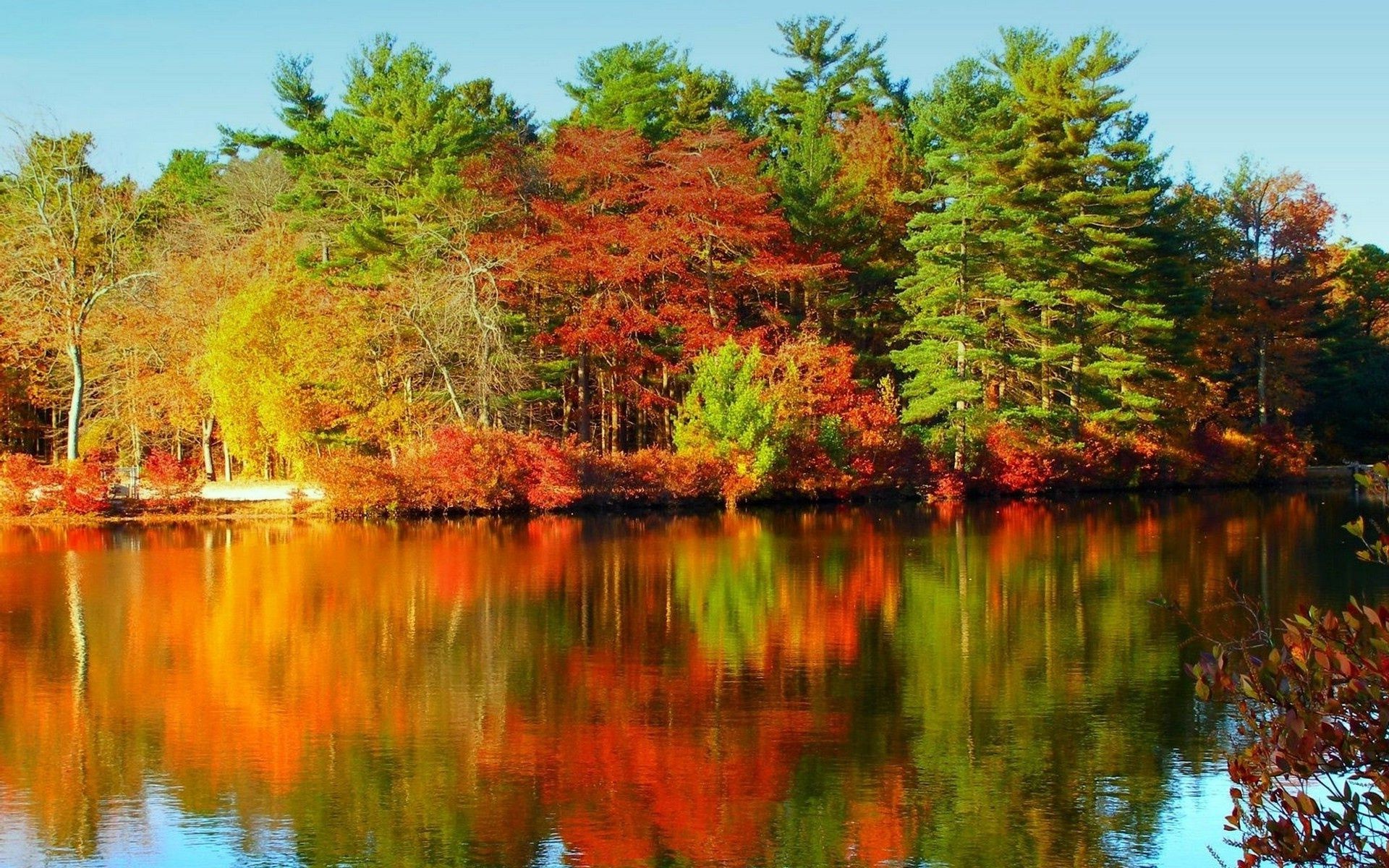 природа деревья река отражение осень nature trees river reflection autumn загрузить