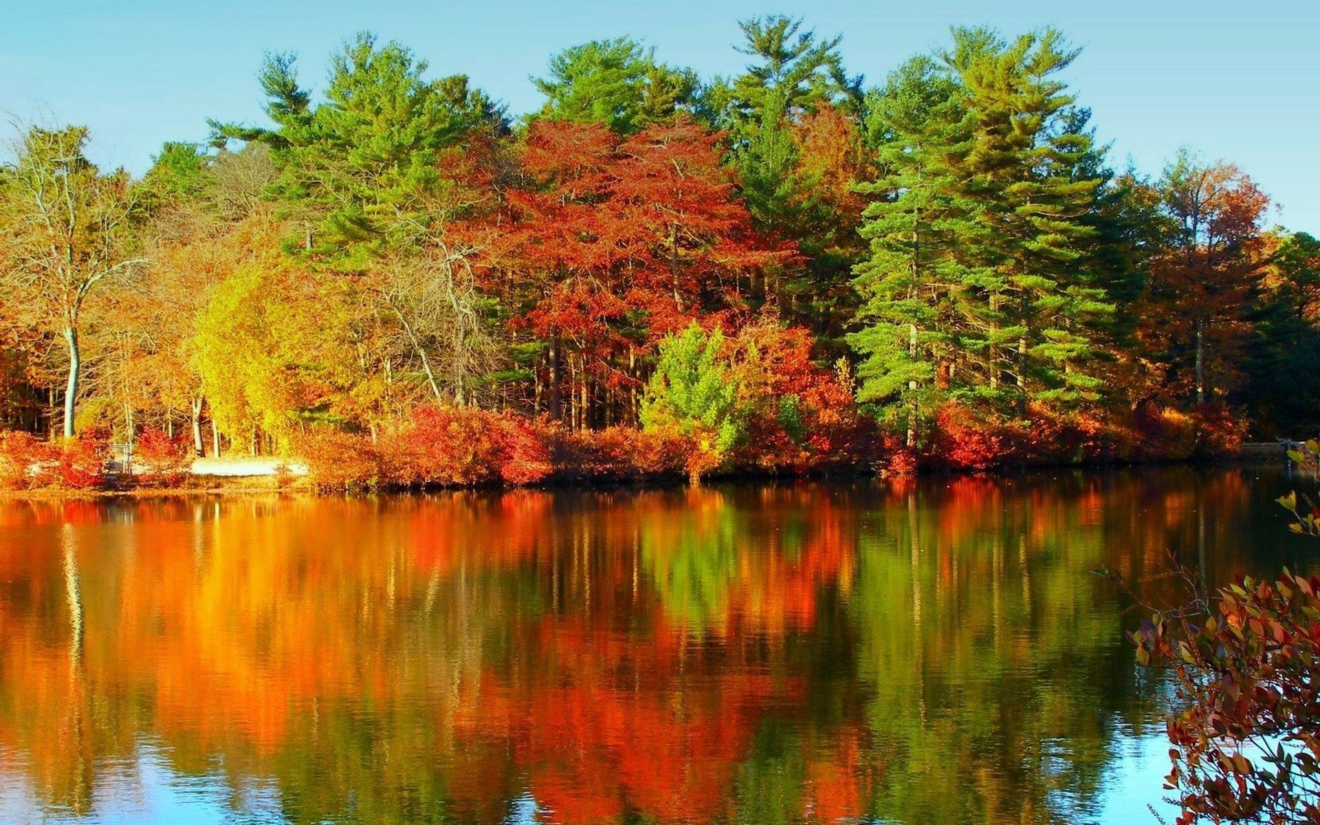 湖泊 秋天 自然 水 景观 反射 叶 树 木材 季节 公园 河流 游泳池 户外 风景 风景 凉爽