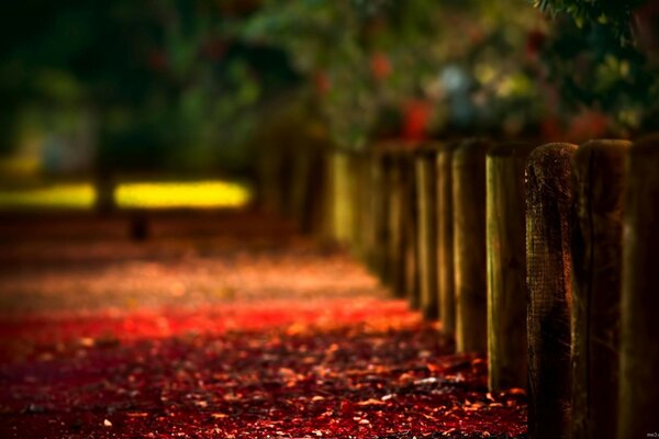 Paisaje de otoño en colores cálidos