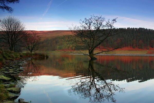 A mirror-clear reflection of the autumn forest in the river with light ripples