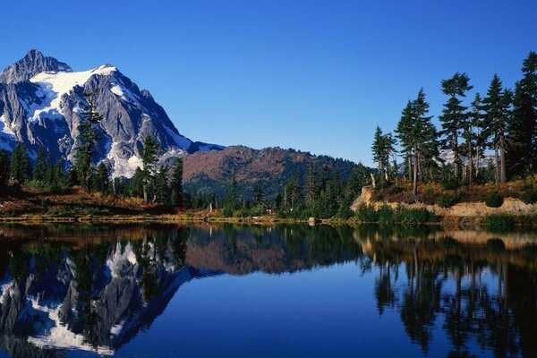 Naturaleza bosque lago montañas nieve paisaje