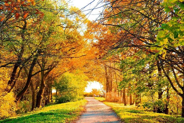 Helle Farben des warmen Herbstes