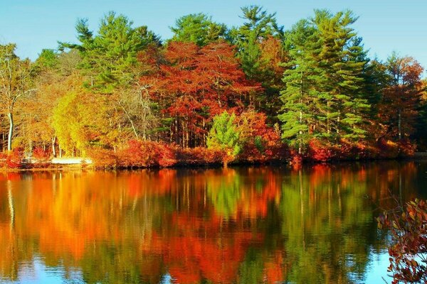 Autumn colors in the reflection of the river