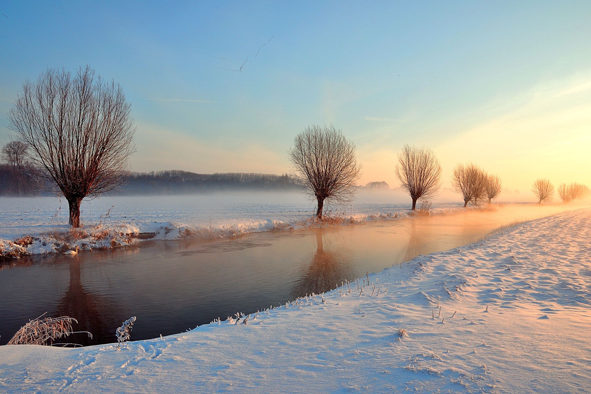 fiumi stagni e torrenti stagni e torrenti inverno neve alba gelo freddo tramonto paesaggio ghiaccio albero natura acqua all aperto cielo nebbia tempo congelato