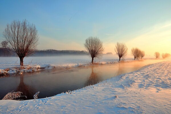 Gli alberi sorvegliano il torrente invernale